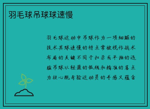 羽毛球吊球球速慢
