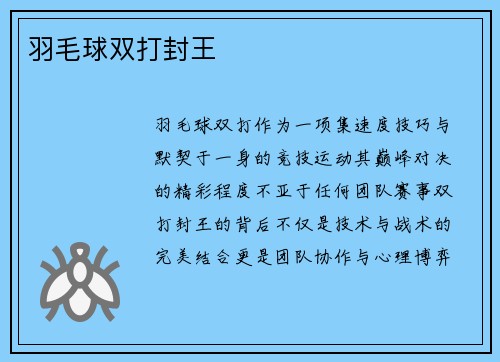 羽毛球双打封王